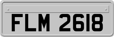 FLM2618