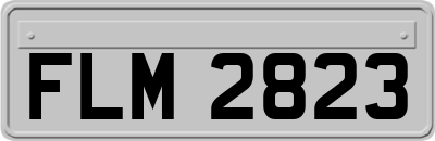FLM2823