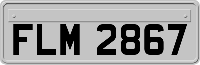 FLM2867