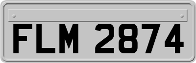 FLM2874