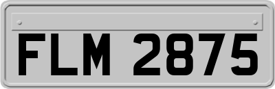FLM2875