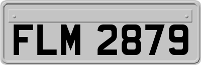 FLM2879