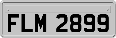 FLM2899
