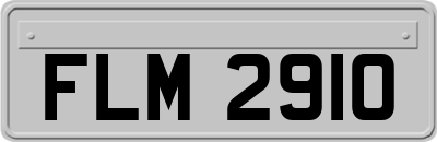 FLM2910