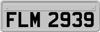 FLM2939