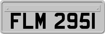FLM2951