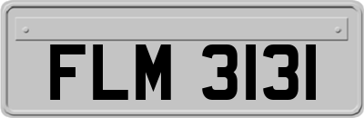 FLM3131