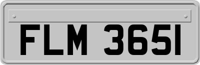 FLM3651