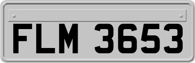 FLM3653