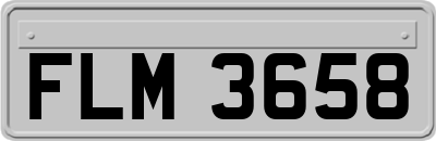 FLM3658