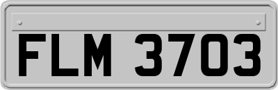 FLM3703