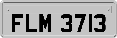 FLM3713