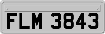 FLM3843