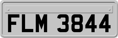 FLM3844