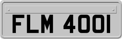 FLM4001