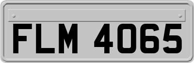 FLM4065
