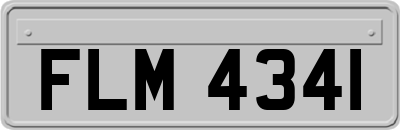 FLM4341