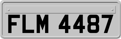 FLM4487