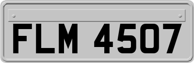 FLM4507