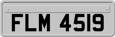 FLM4519