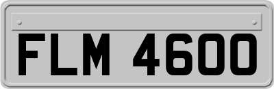 FLM4600