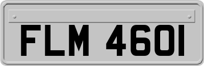 FLM4601