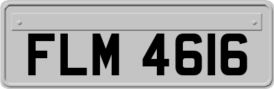 FLM4616