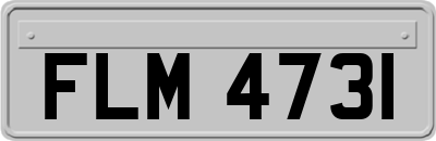 FLM4731