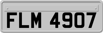 FLM4907