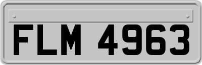 FLM4963