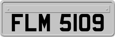 FLM5109