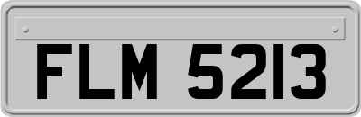 FLM5213
