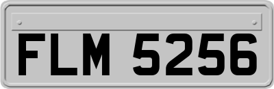 FLM5256