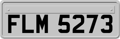 FLM5273
