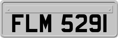 FLM5291