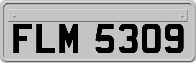 FLM5309
