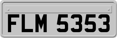 FLM5353