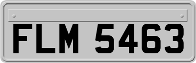 FLM5463