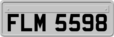 FLM5598