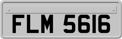 FLM5616