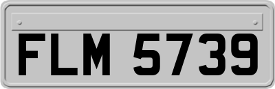 FLM5739