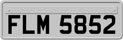 FLM5852