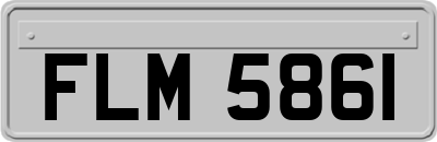FLM5861