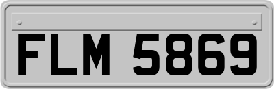 FLM5869