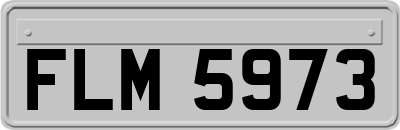 FLM5973