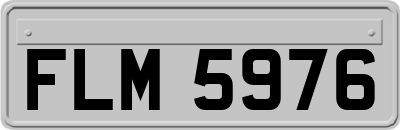 FLM5976