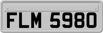 FLM5980