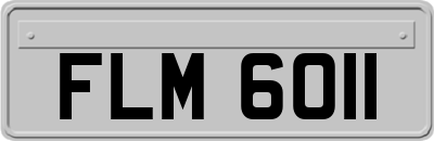 FLM6011