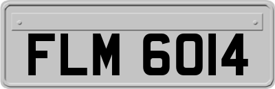 FLM6014