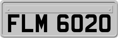 FLM6020